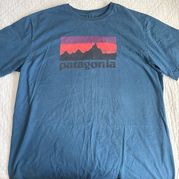 Patagonia Other - Patagonia Teal and Sunset Graphic Tee